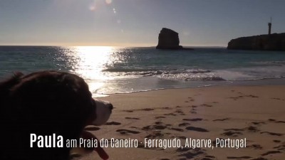 Urlaub mit Hund in Portugal: ein Hundeparadies?