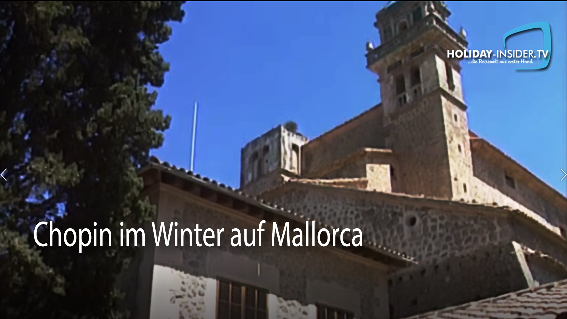 Die wohl berühmtesten Wintergäste auf Mallorca